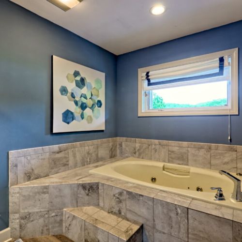 Jet tub and shower.