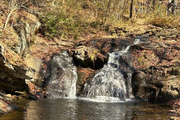 Appalachian Gallery & Frame