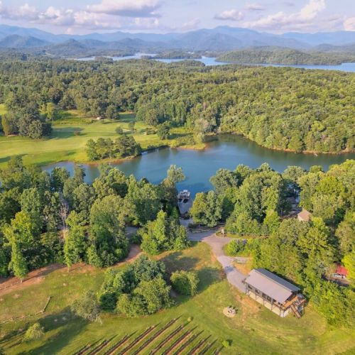The aerial lake view, including the property