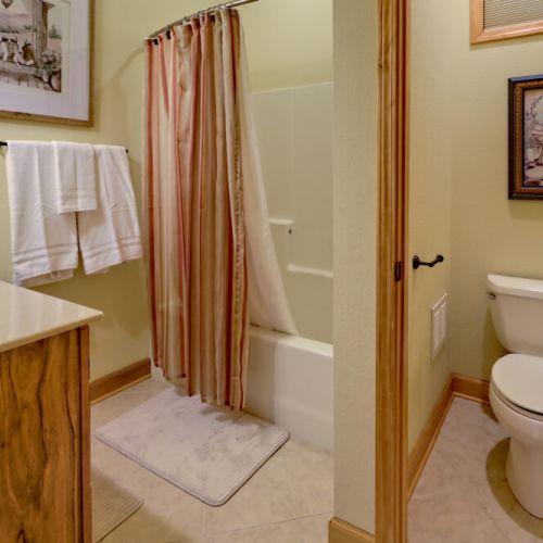 Shared bath downstairs