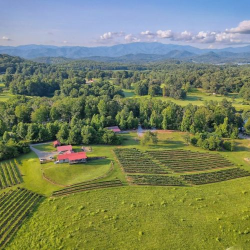 Aerial view of surrounding vineyard and property