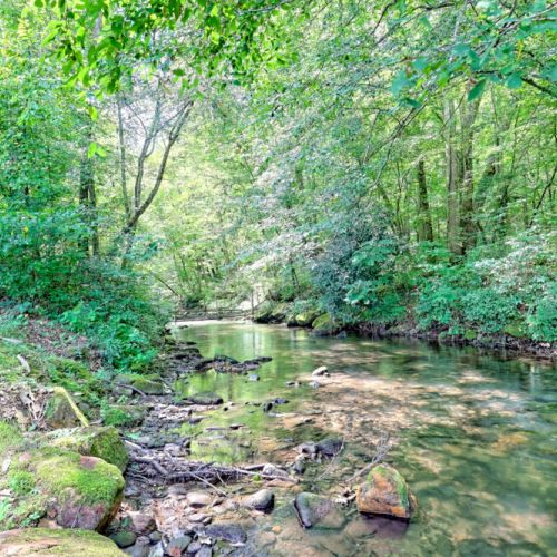 Beautiful creek.