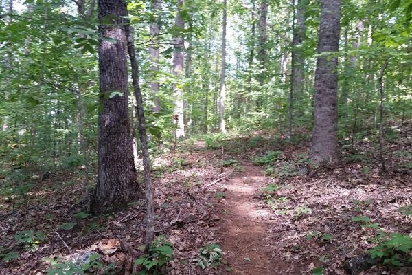 Miller Trek Trailhead