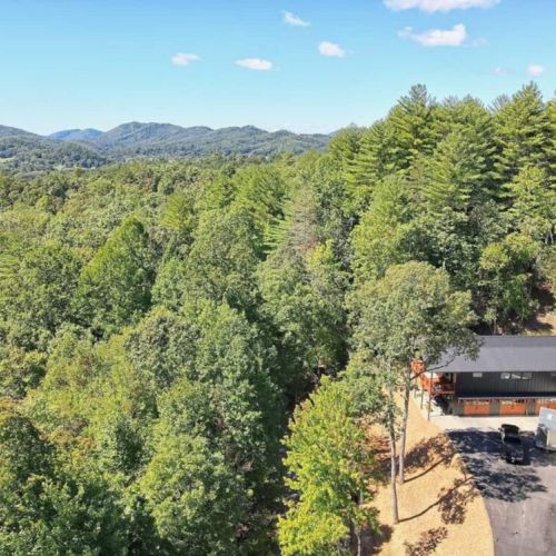 Aerial view of entire property and gorgeous forest surrounding