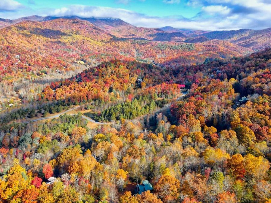 Seasonal beauty of the area around the property