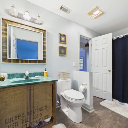 Lower level bathroom
