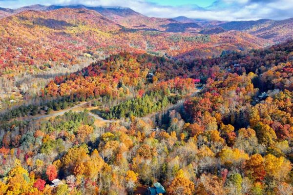 Black Bear Cabin – by Chatuge Home Concierge
