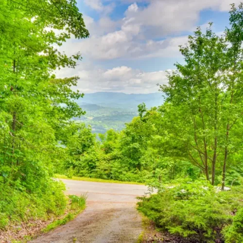 View from Driveway