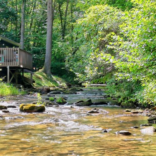Cool off in the creek.
