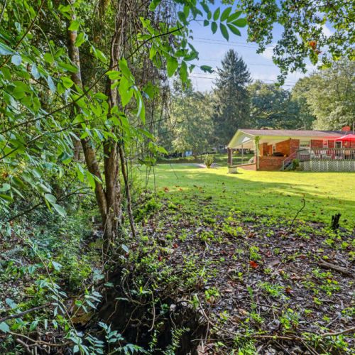 back yard