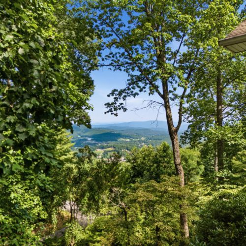 View from deck