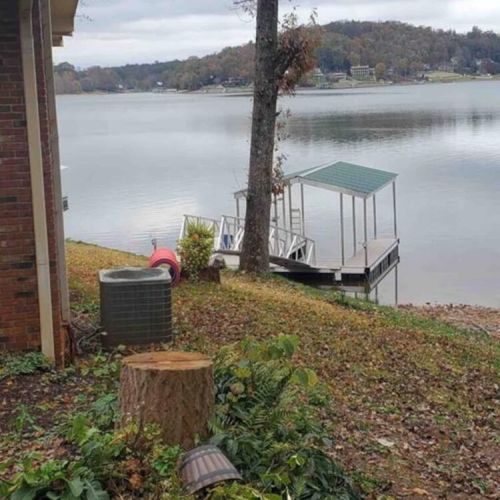 Dock