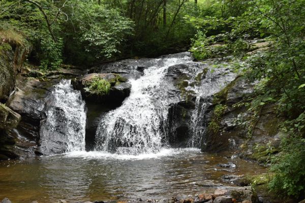 Cupid Falls
