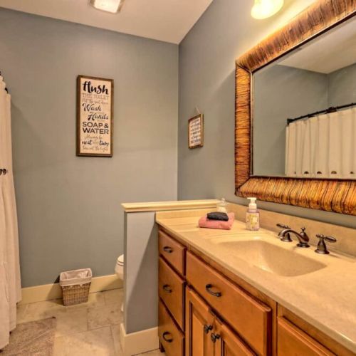 terrace level guest bathroom