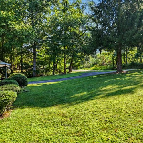 See the golf course through the trees